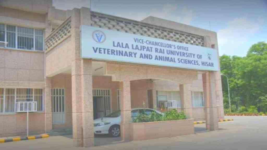 LUVAS Hisar Vacancy 2022