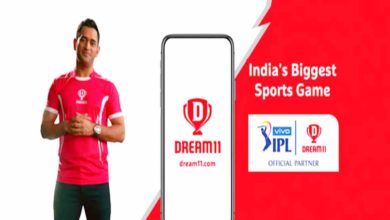 dream 11 news