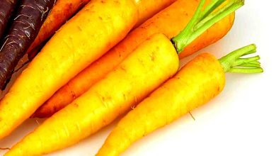 yellow carrot