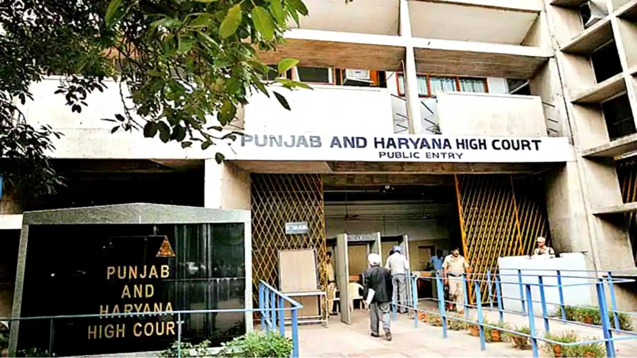 punjab haryana high court