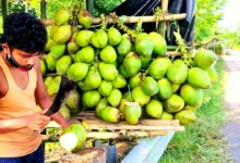 Coconut water nariyal pani