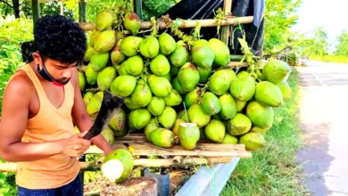 Coconut water nariyal pani