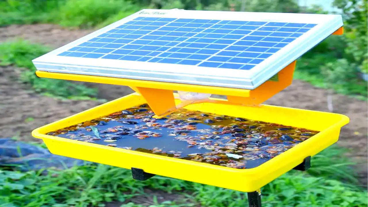 solar trap